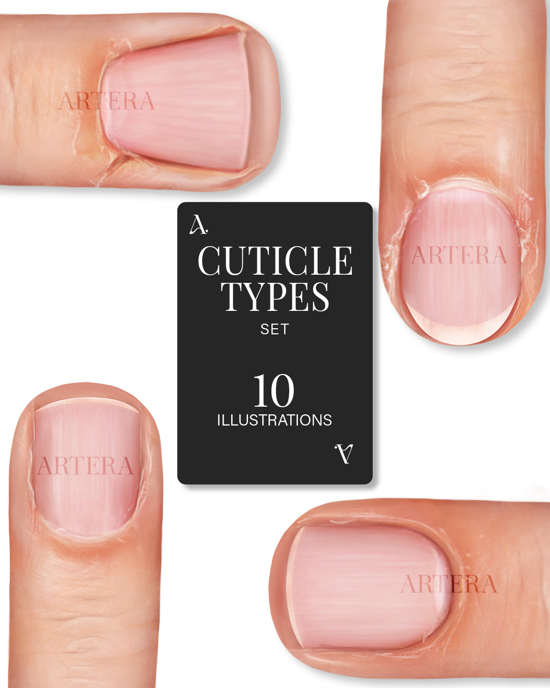 Tipuri de cuticulă - Set 10 ilustrații